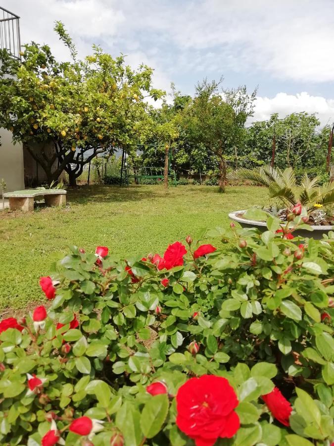 B&B Villa Le Mattine Агрополи Экстерьер фото